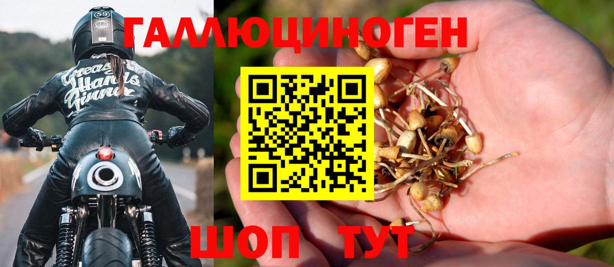 Псилоцибиновые грибы мухоморы Барнаул