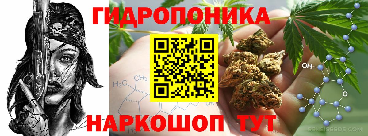 Бошки марихуана марихуана Барнаул